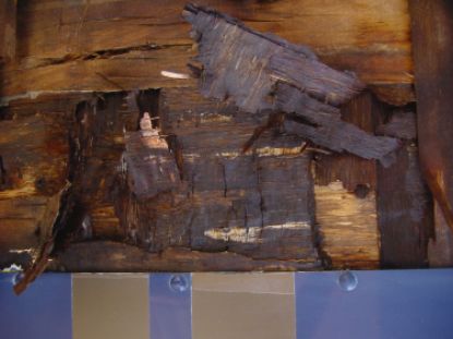 horsebox repair - damaged side wall
