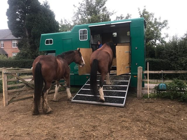 6.5/7.0 tonne horsebox - Bingley
