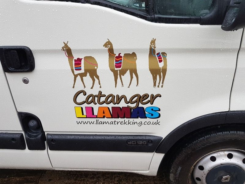 3.5 tonne horsebox - Catanger Llamas